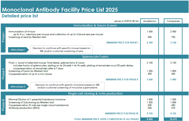 Sofia Elena Schlesinger: A Journey of Art and Impact Sofia Elena Schlesinger